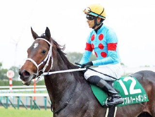 2025年のチャンピオンズカップ ダブルハートボンドが牝馬史上2頭目制覇？