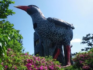 ヤンバルクイナ展望台